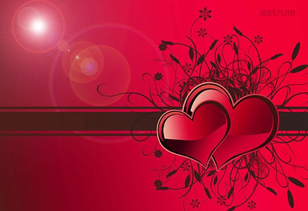 NB200 NOTEBOOK STICKER 15.6 3D HEARTS"