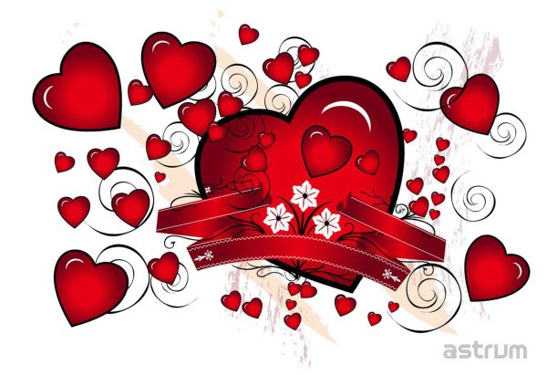 NB200 NOTEBOOK STICKER 15.6 3D HEART"